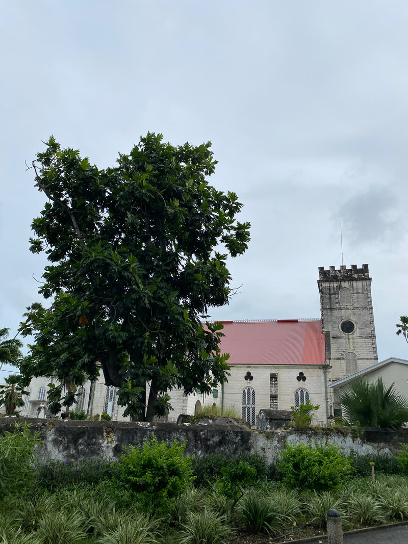 Explore Historic Bridgetown and its Garrison, a UNESCO World